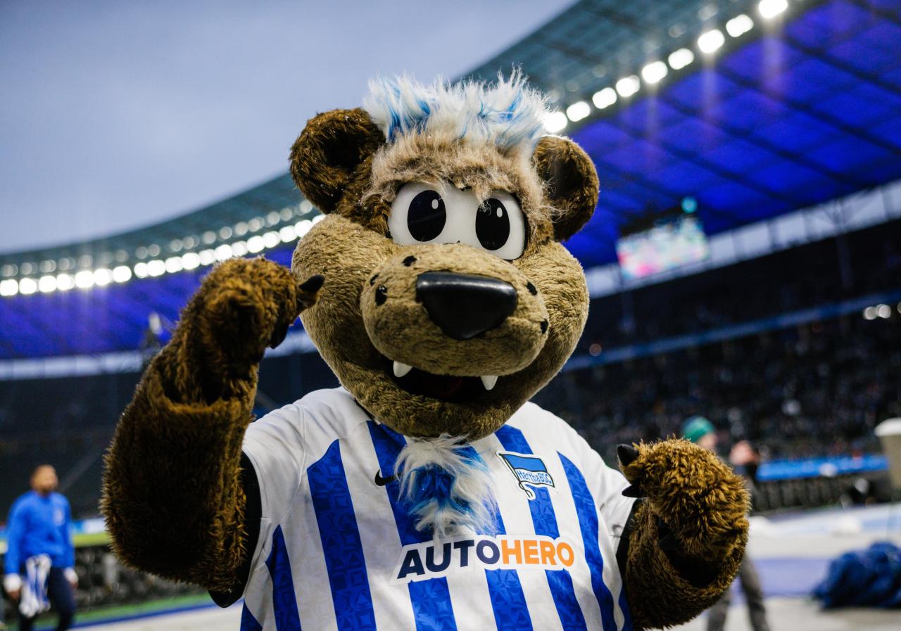 Bence Dardai speaks on Hertha roots, reveals childhood fear of club mascot