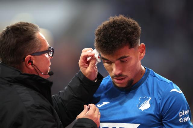 Valentin Gendrey for Hoffenheim