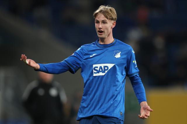 Max hope for Hoffenheim