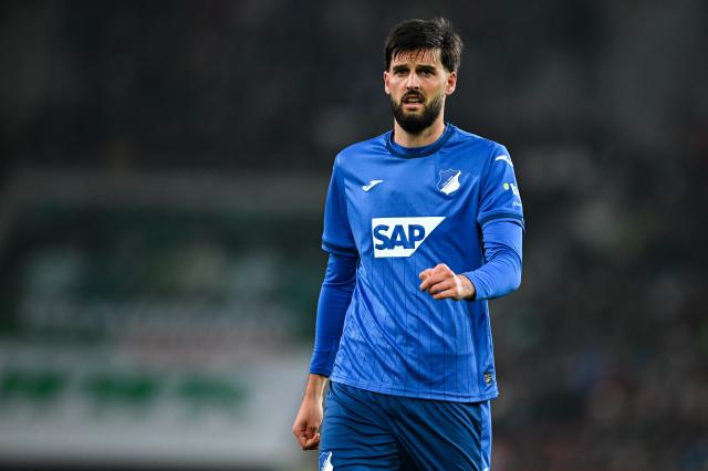 Grillitsch leaves Hoffenheim