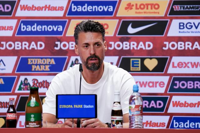 Sandro Wagner.