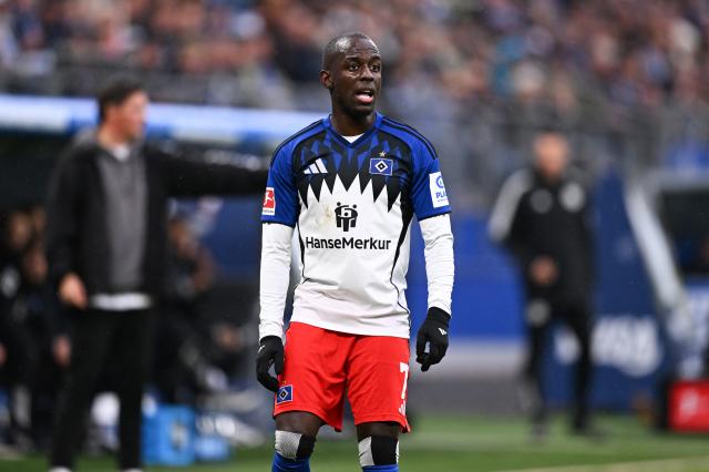 Jean-Luc Dompé of Hamburger SV