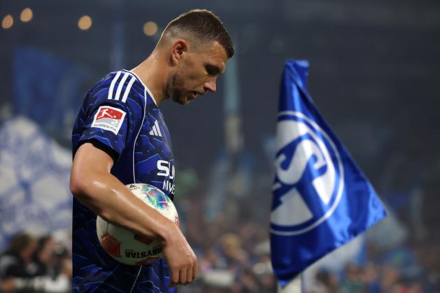 Schalke 04‘s Edin Dzeko.
