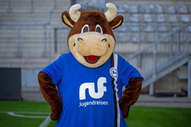 Arminia Bielefeld mascot Lohmann 