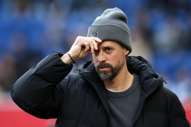 Sandro Wagner