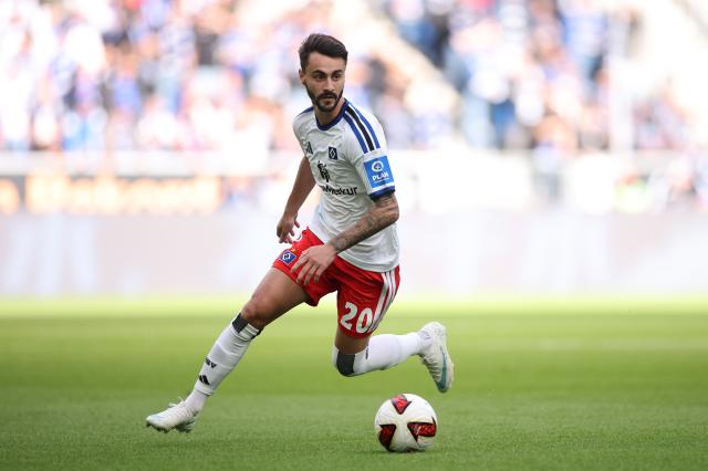 Hamburger SV midfielder Fabio Viera looks to create vs TSG Hoffenheim.