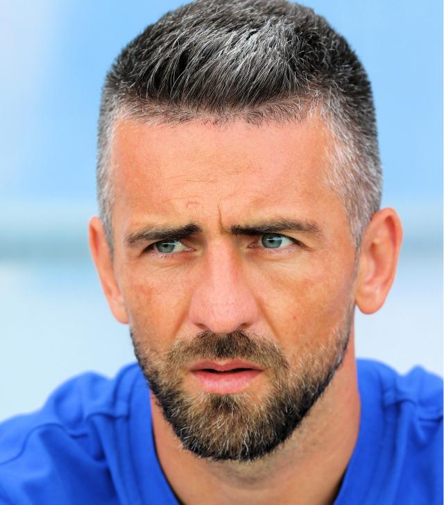 Vedad Ibisevic.
